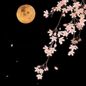 flower-moon2