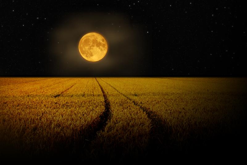 when is harvest moon